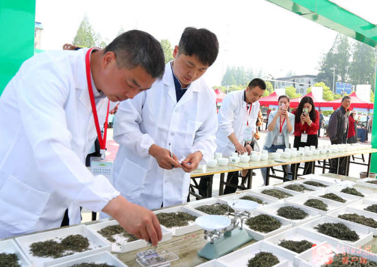 第31届信阳茶文化节“全民饮茶日”暨谷雨茶会举行